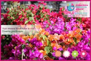 Perugia Flower Show