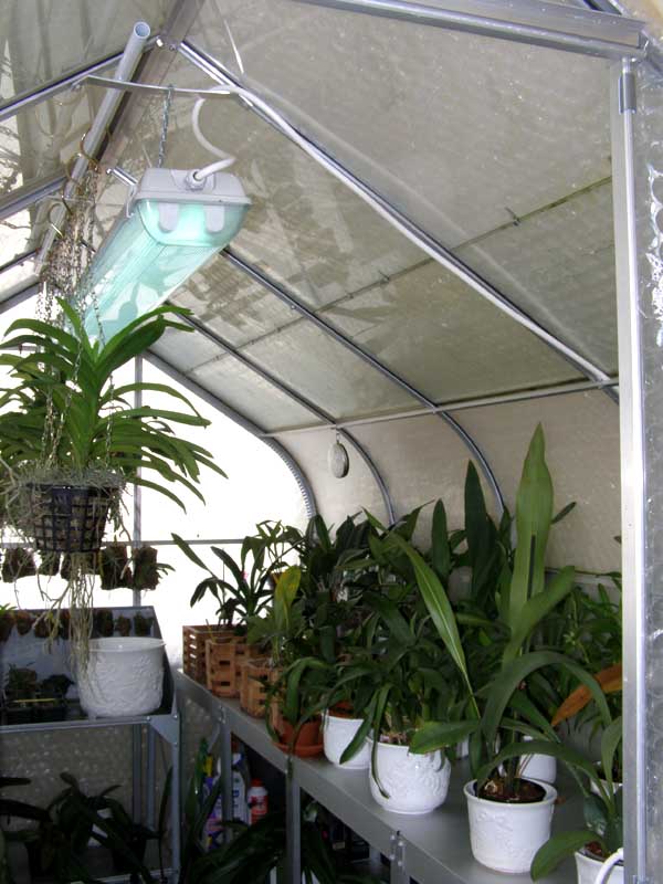 Piccoli ambienti protetti