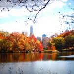 Foliage a New York - Central Park