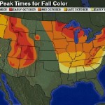 Mappa del fall foliage in America