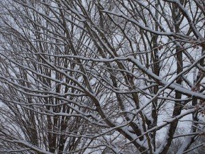 Aiuto nevica!