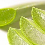 Aloe Vera interno