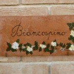 Biancospino