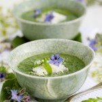 Borragine in cucina