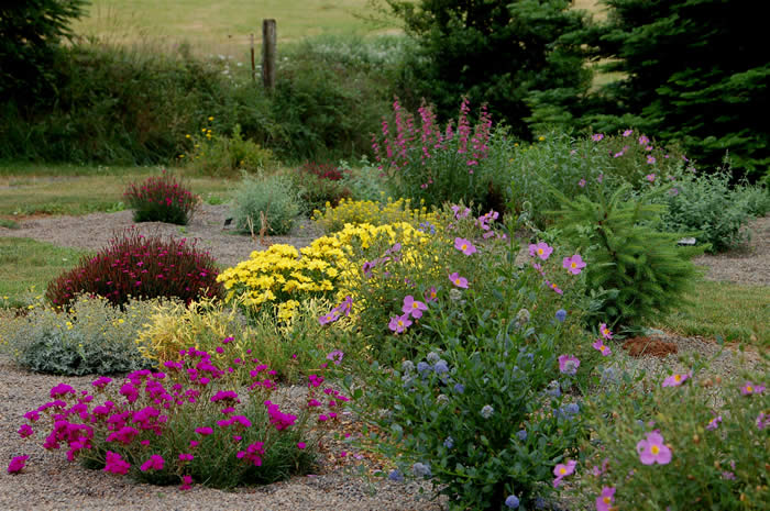 Dry Garden