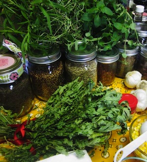 Erbe aromatiche