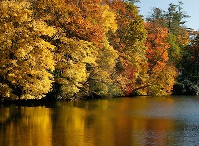 Il maglifico spettacolo del foliage riflesso nell'acqua