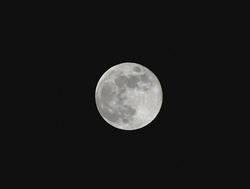 Luna piena