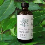olio di Neem  