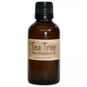 Olio essenziale di Melaleuca