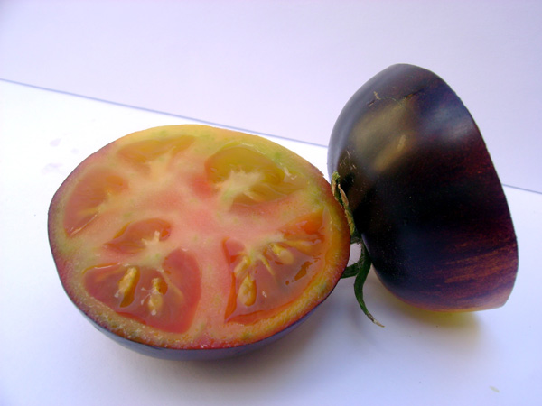 Pomodoro Sun Black