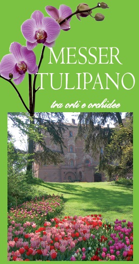 messer tulipano