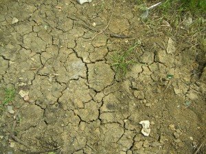 caratteristiche del terreno